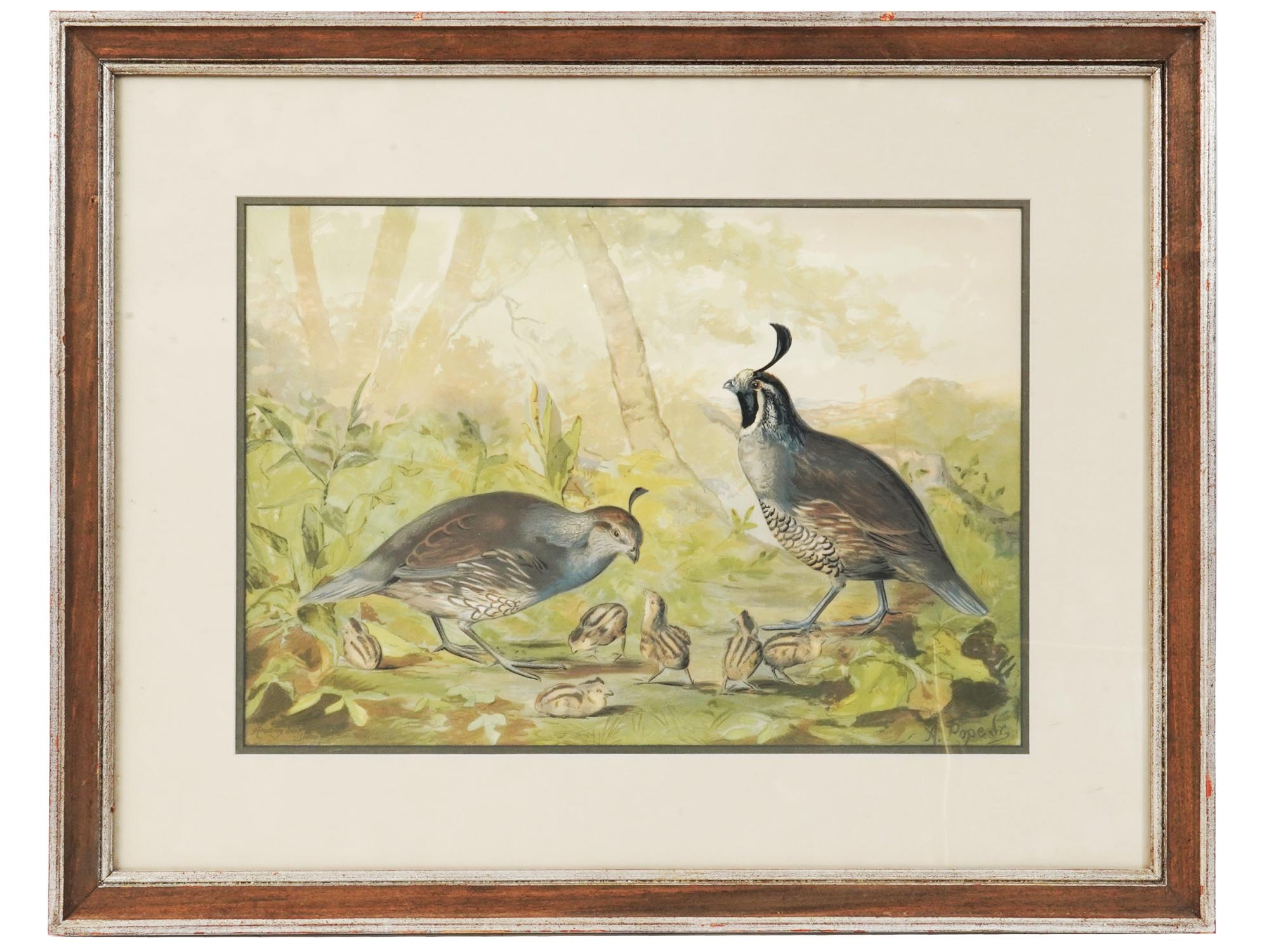 FRAMED LITHOGRAPH OF BIRDS BY ALEXANDER POPE JR PIC-0